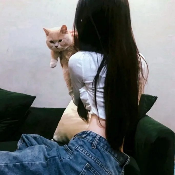 口袋里的拳头