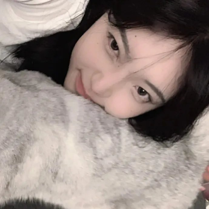 猫公主苏菲